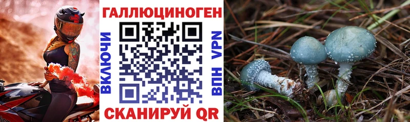 закладка  Феодосия  Галлюциногенные грибы прущие грибы 